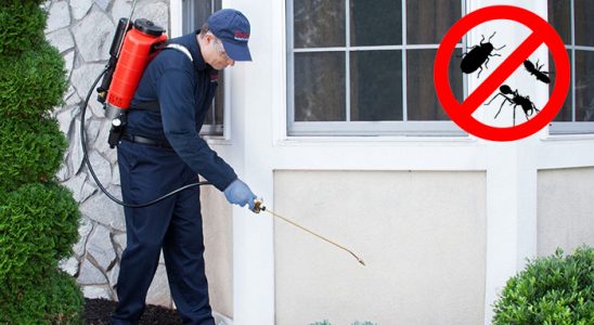 Toprakkale Kene İlaçlama böcek ilaçlama ve haşere kontrolü — ilaclama-tr.com